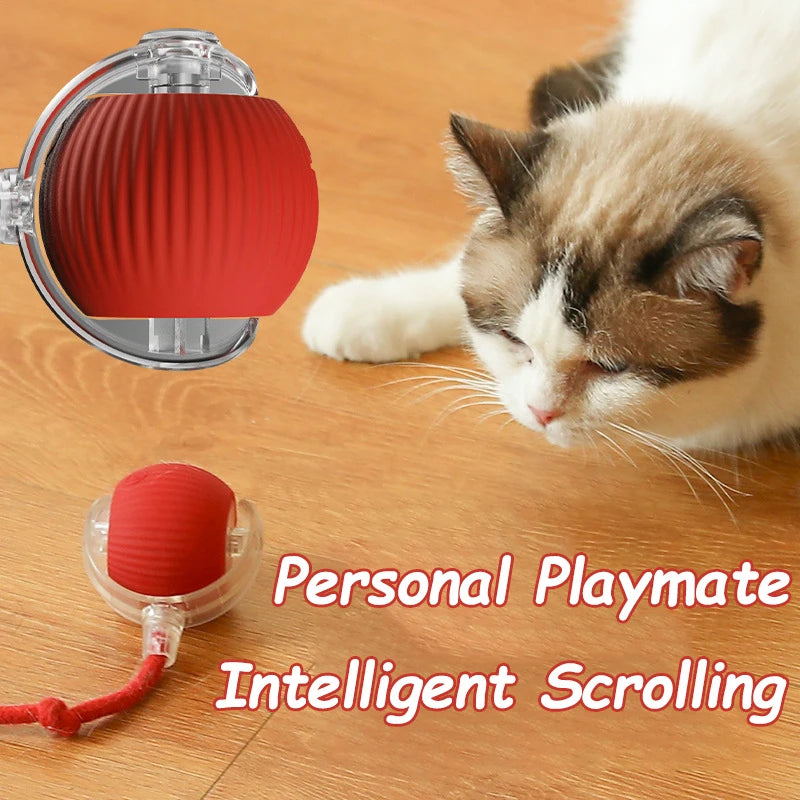 Pelota Interactiva Automática para Gatos - Juguete Eléctrico Recargable con Cola Imitación Ratón
